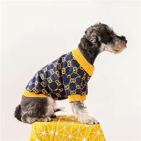 best designer dog clothes gucci|Gucci dog clothes wholesale.